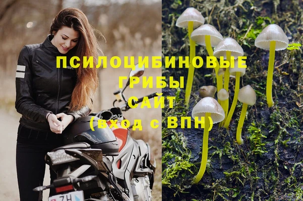 эйфоретик Ессентукская