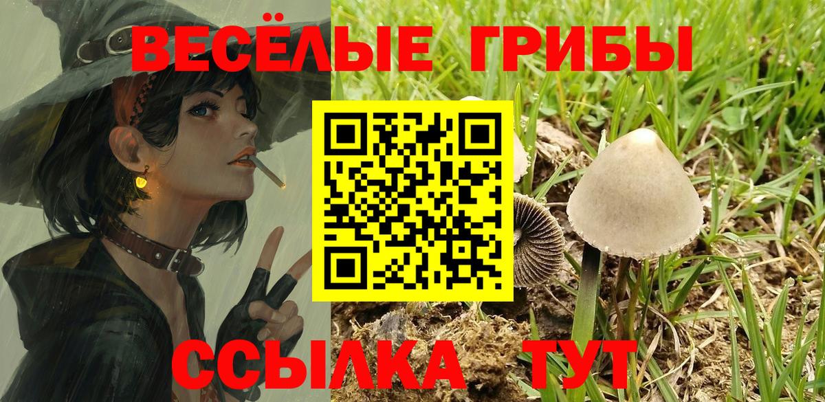 Белебей  Галлюциногенные грибы MAGIC MUSHROOMS  Вход с VPN 